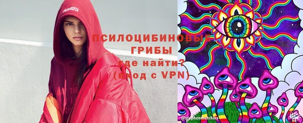 прущие крисы Алзамай