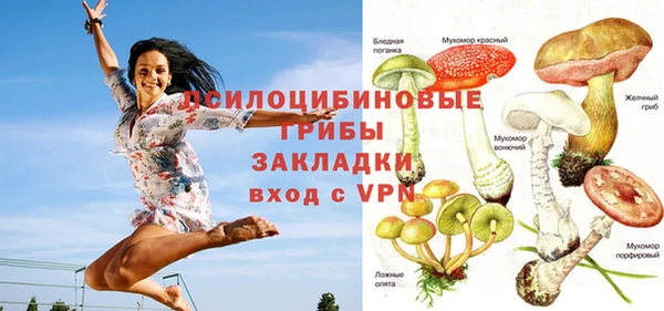 прущие крисы Алзамай
