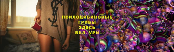 прущие крисы Алзамай