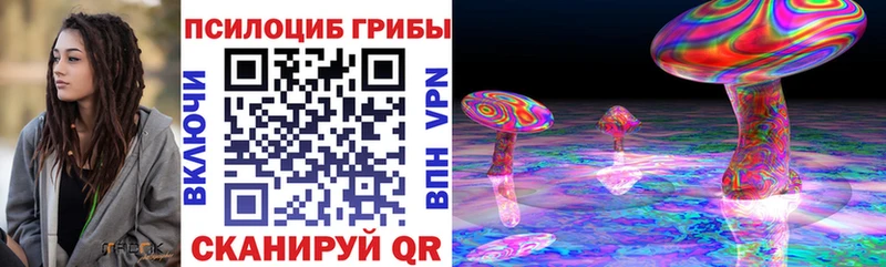 купить  сайты  Бердск  Псилоцибиновые грибы Cubensis 